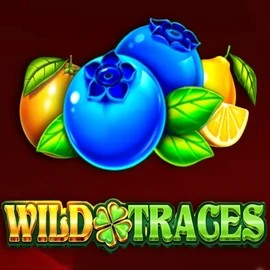 Wild Traces slot logo by Amusnet Interactive at Instant Casino
